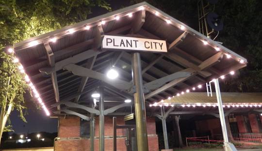 Printing Services in Winter Park, FL