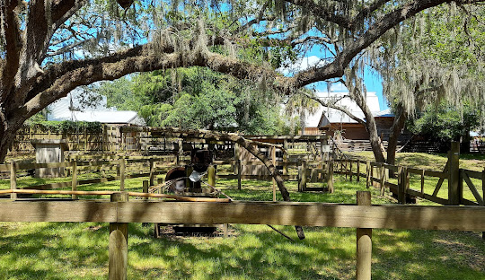 Printing Services in Apopka, FL