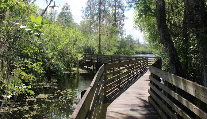 Printing Services in Maitland, FL