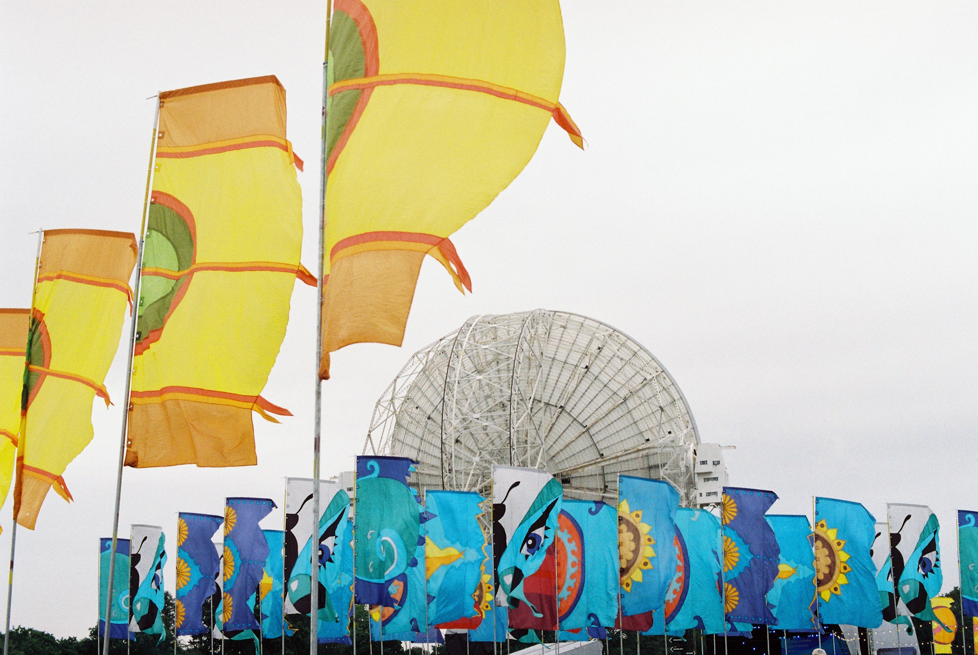 Custom Ink Banners: Effective Solutions by Mail Processing Associates